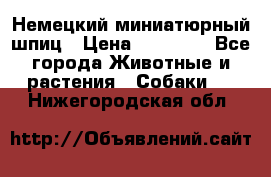 Немецкий миниатюрный шпиц › Цена ­ 60 000 - Все города Животные и растения » Собаки   . Нижегородская обл.